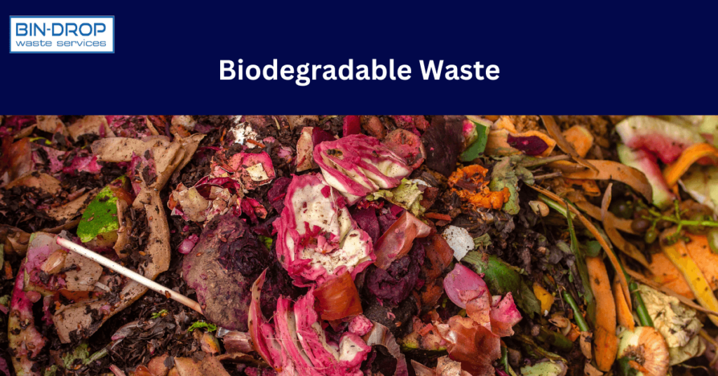 Biodegradable Waste: Benefits, Disposal and Management » Bin-Drop Waste ...